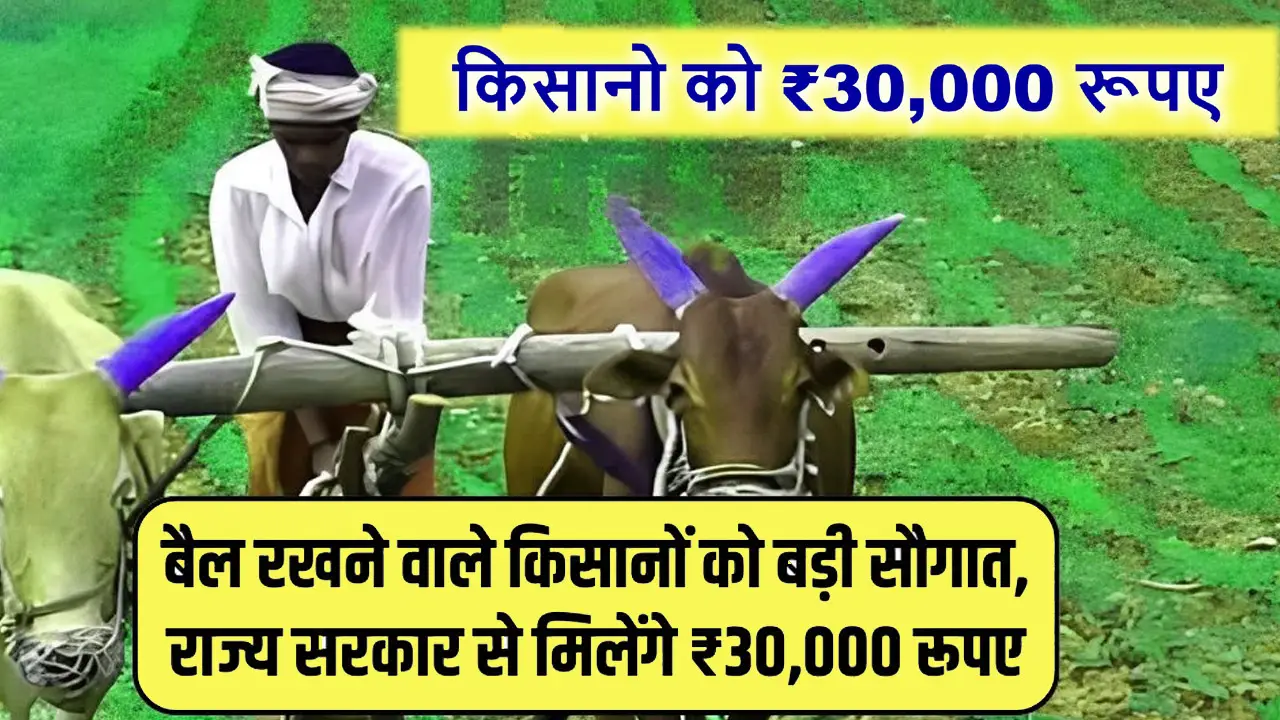 बैल रखने वाले किसानों को बड़ी सौगात, राज्य सरकार से मिलेंगे ₹30,000 रूपए Farmer Subsidy Scheme