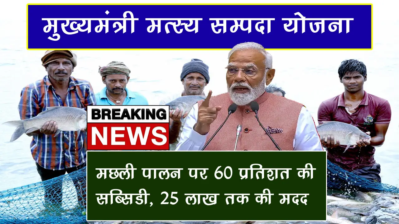 मुख्यमंत्री मत्स्य सम्पदा योजना 2025 ऑनलाइन आवेदन, आवश्यक दस्तावेज व पात्रता की पूरी जानकारी जानें