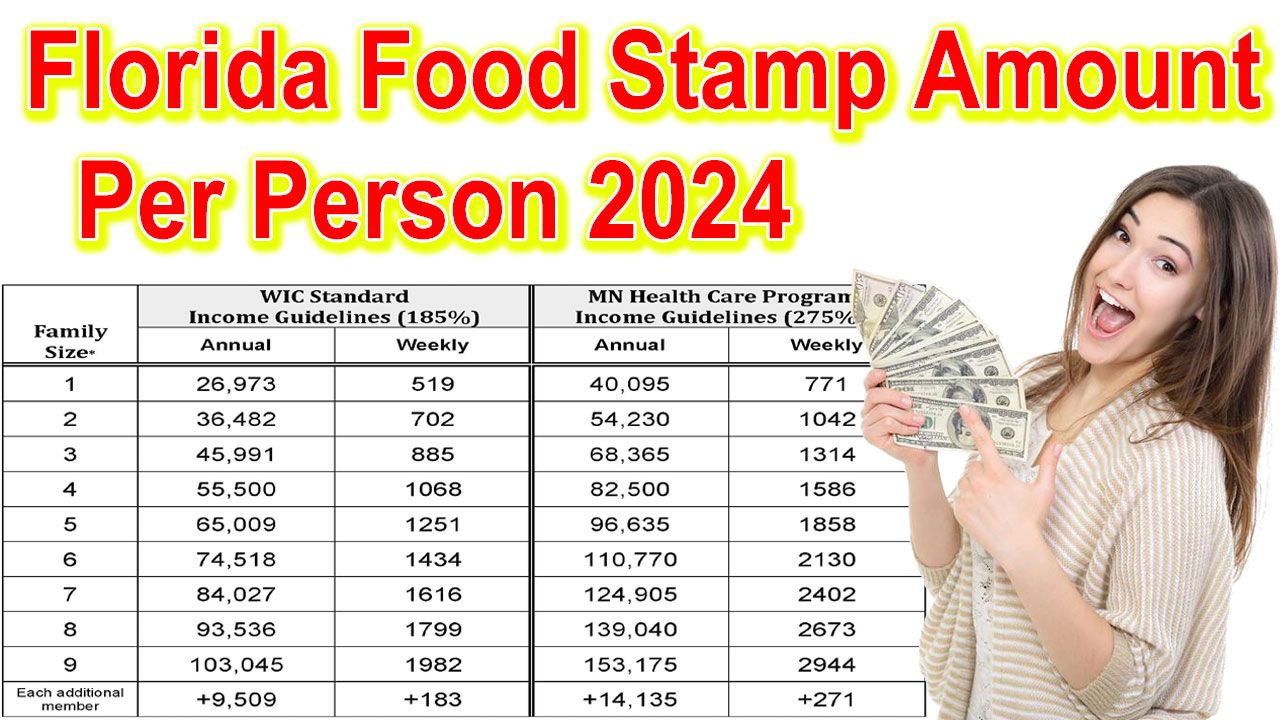 Florida food stamp amount per person 2024