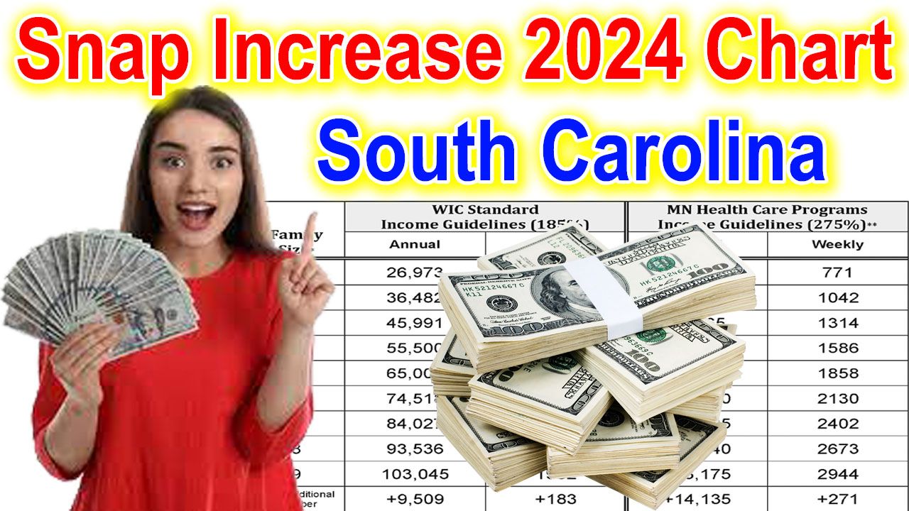 Snap Increase 2024 Chart South Carolina