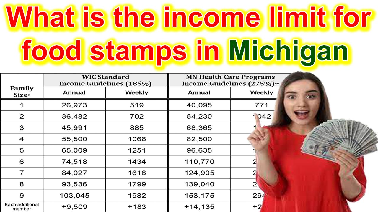 What is the limit for food stamps in Michigan 2024