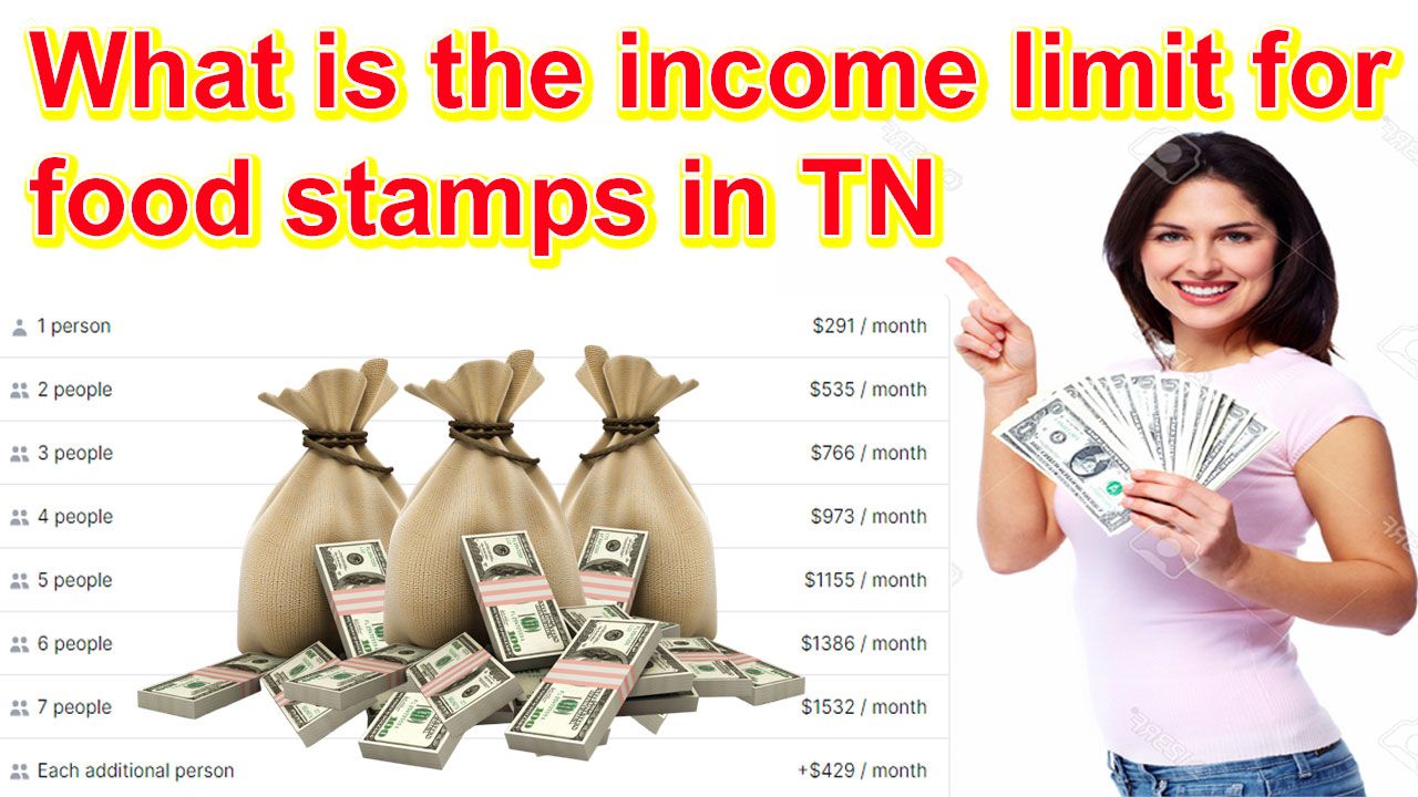 What is the income limit for food stamps in TN 2024