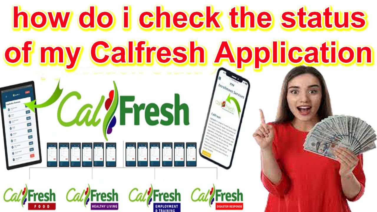 how do i check the status of my calfresh application