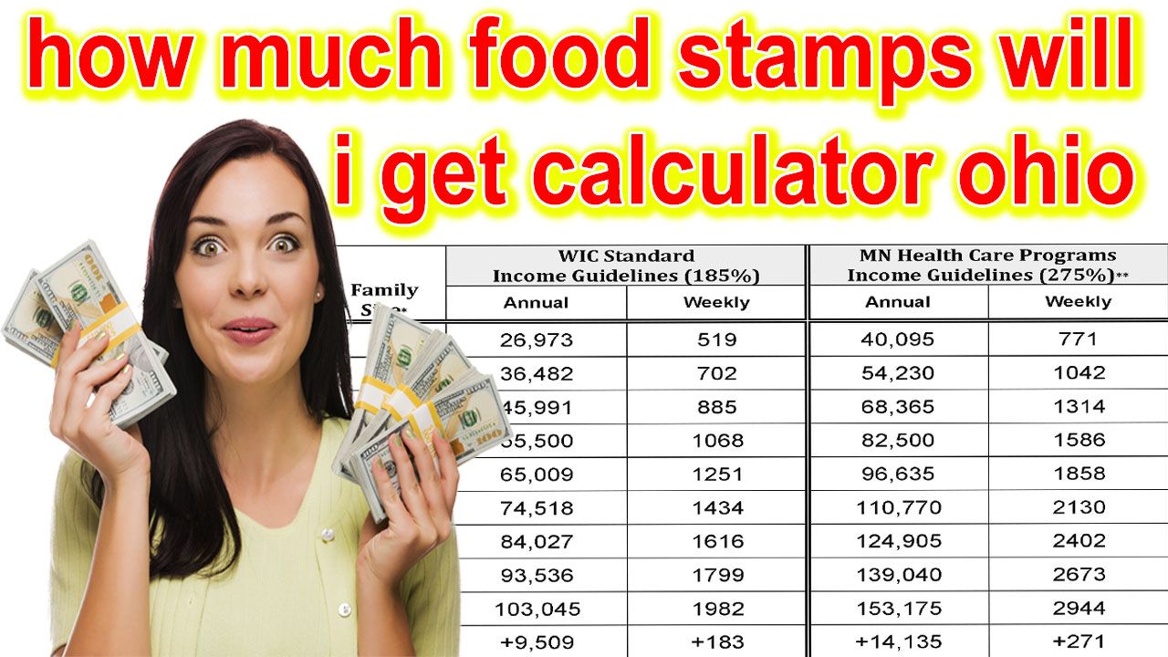 how much food stamps will i get calculator ohio