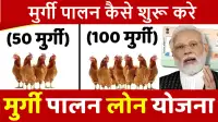 मुर्गी पालन कैसे शुरू करें
