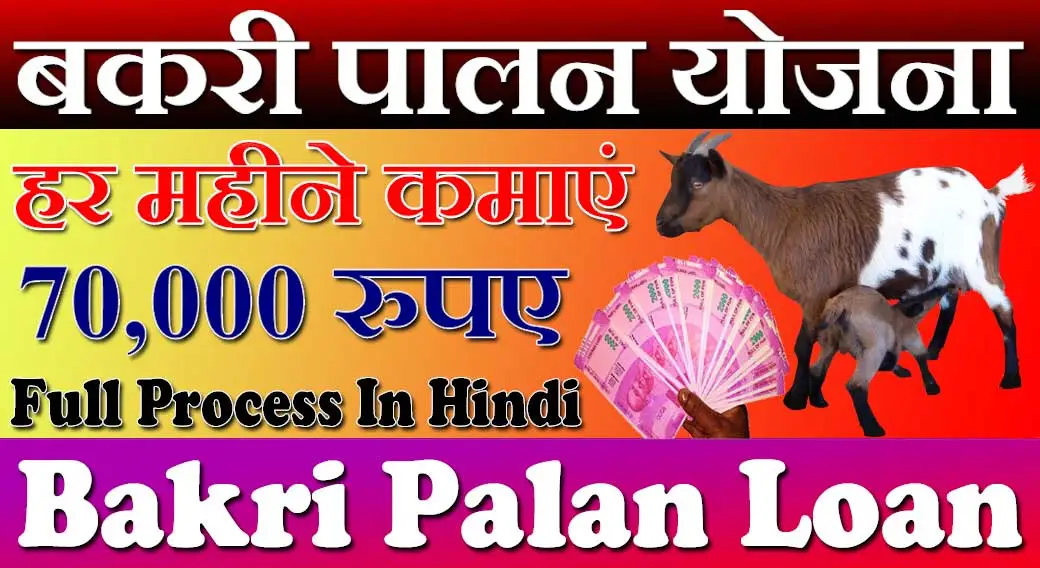 बकरी पालन योजना राजस्थान 2024 Rajasthan Bakri Palan Yojana