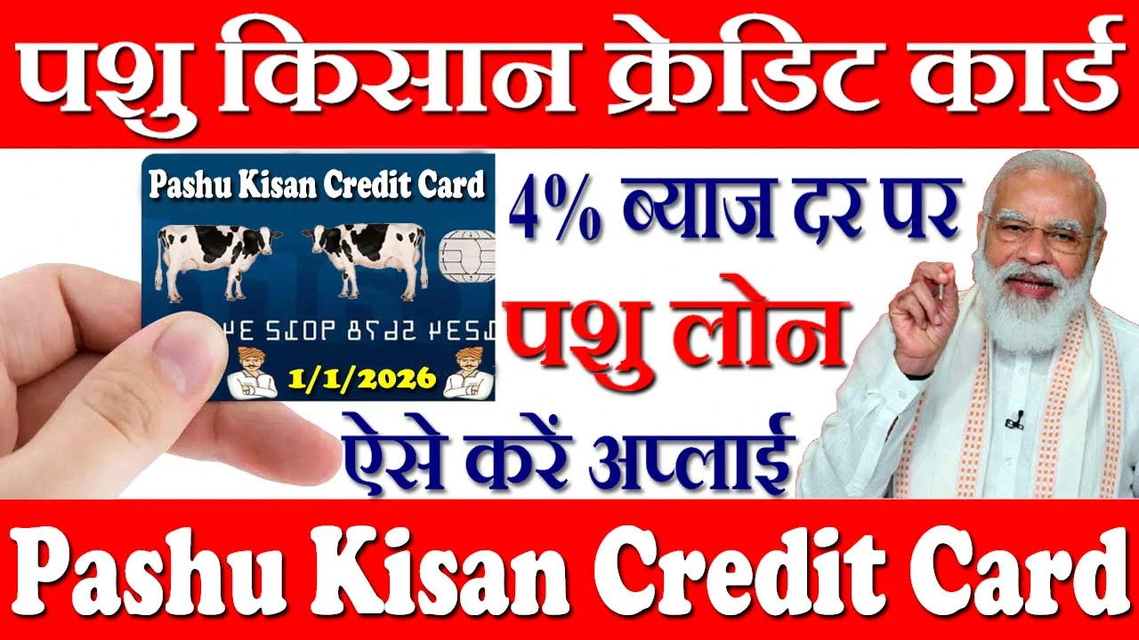 पशु किसान क्रेडिट कार्ड कैसे बनाएं 2024 Pashu Kisan Credit Card Kaise Banaye