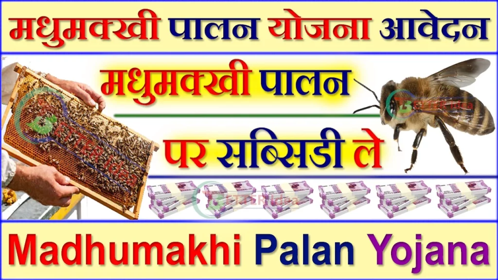 Madhumakhi Palan Yojana, मधुमक्खी पालन योजना, Rajasthan Madhumakhi Palan Yojana, मधुमक्खी पालन योजना राजस्थान, Madhumakhi Palan Yojana Rajasthan, मधुमक्खी पालन बॉक्स प्राइस, Madhumakhi Palan, मधुमक्खी पालन रजिस्ट्रेशन कैसे करें, Madhumakhi Palan Yojana Registration Form, मधुमक्खी पालन प्रशिक्षण केंद्र, मधुमक्खी पालन कैसे करें, मधुमक्खी पालन लोन कैसे ले, Madhumakhi Palan Yojana Form PDF 