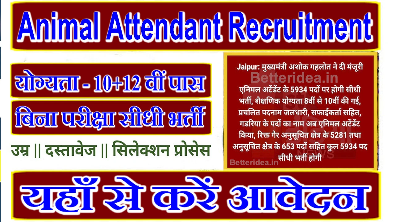 Rajasthan Animal Attendant Recruitment 2024 | राजस्थान पशु परिचर सीधी भर्ती का 5934 पदों पर नोटिफिकेशन जारी, ऐसे करे आवेदन