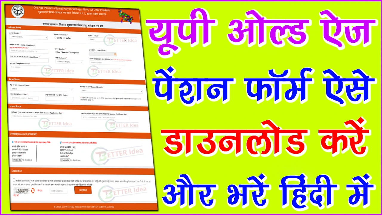 Old Age Pension Form UP PDF Download In Hindi 2024