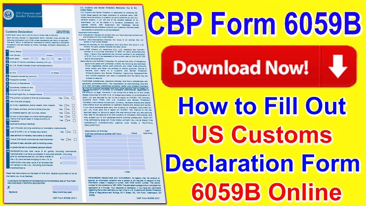 CBP Form 6059B Download 2024 | How to Fill Out US Customs Declaration Form 6059B In 2024