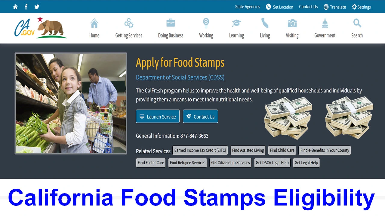 California Food Stamps Eligibility 2024 | California Calfresh Calculator