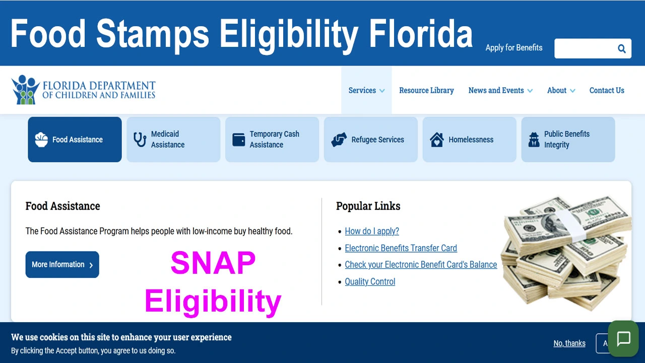 Food Stamps Eligibility Florida 2024 | Florida Food Stamps Income Limits Eligibility