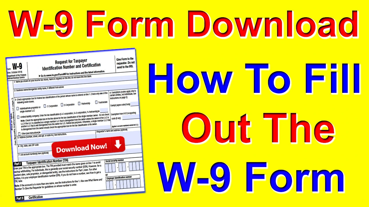 W-9 Form Download | W-9 Form 2024 PDF | How to fill out the W-9 form