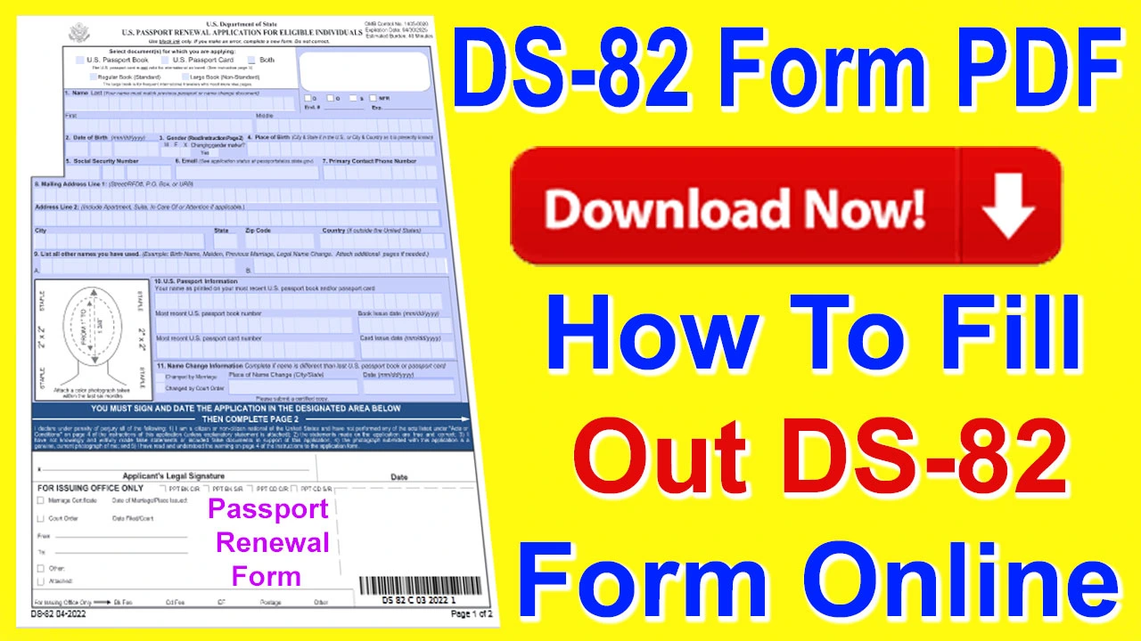 Passport Renewal Form DS82 PDF Download Printable How to fill out DS