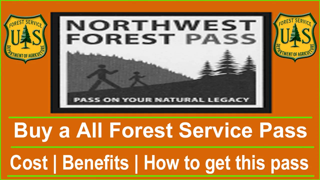 Where To Buy Northwest Forest Pass 2024 | Buy a All Forest Service Pass