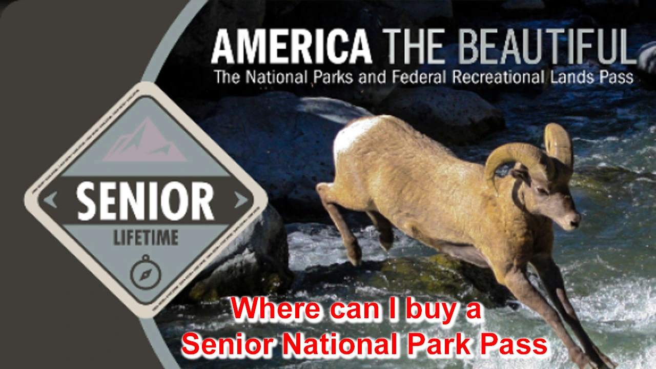 Where can I buy a Senior National Park Pass @usgs store