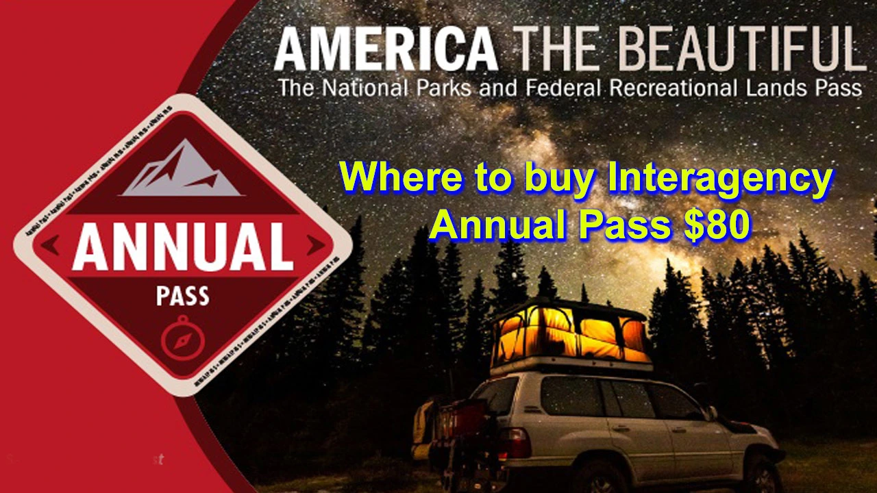Where to buy Interagency Annual Pass $80 | How to get This pass