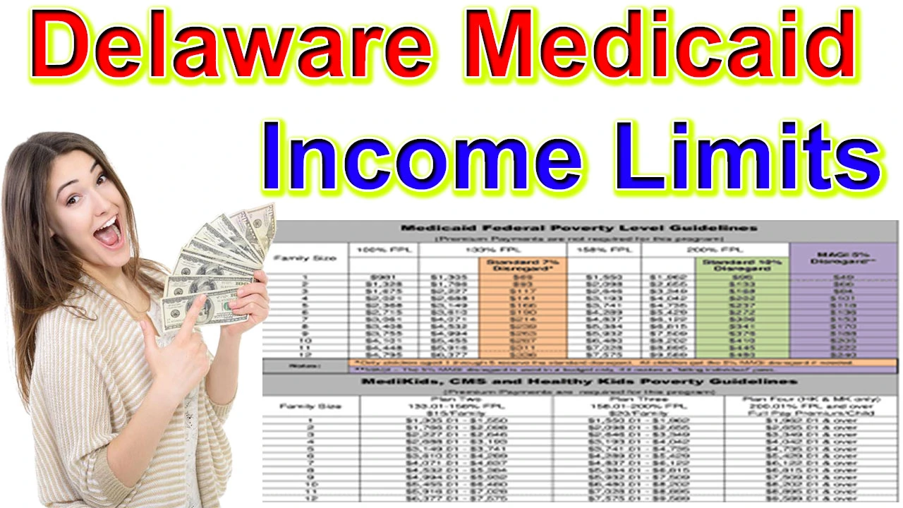 Delaware Medicaid Income Limits 2024