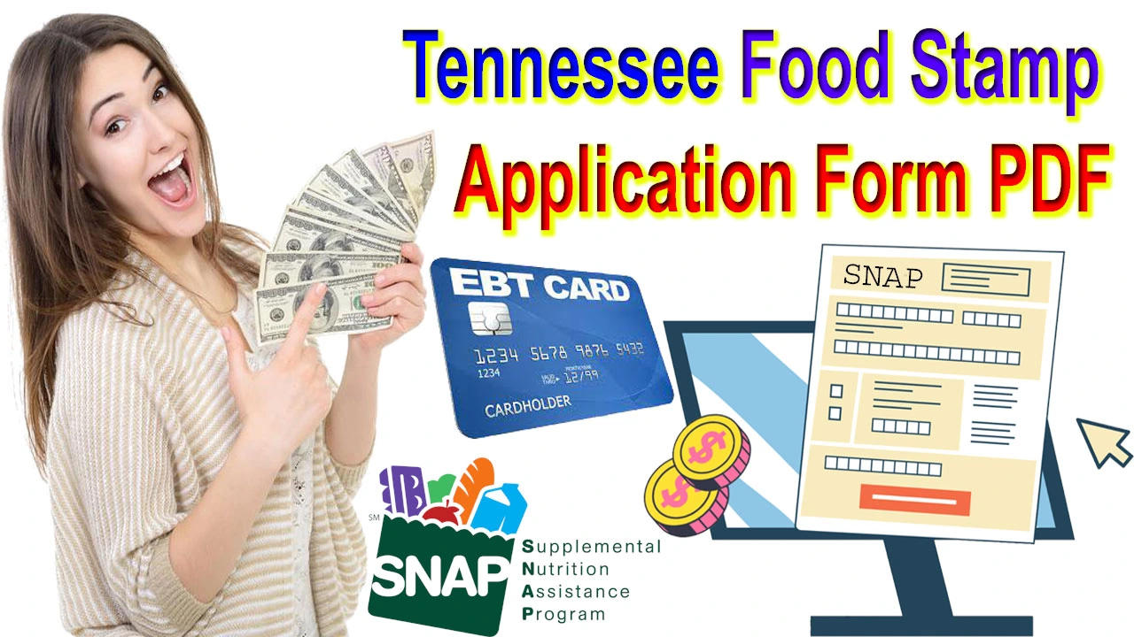 Food Stamp Application Form Online Tennessee