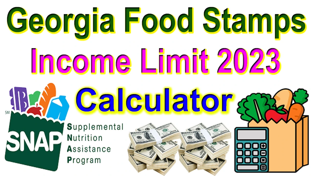 GA Food Stamps Income Limit 2024