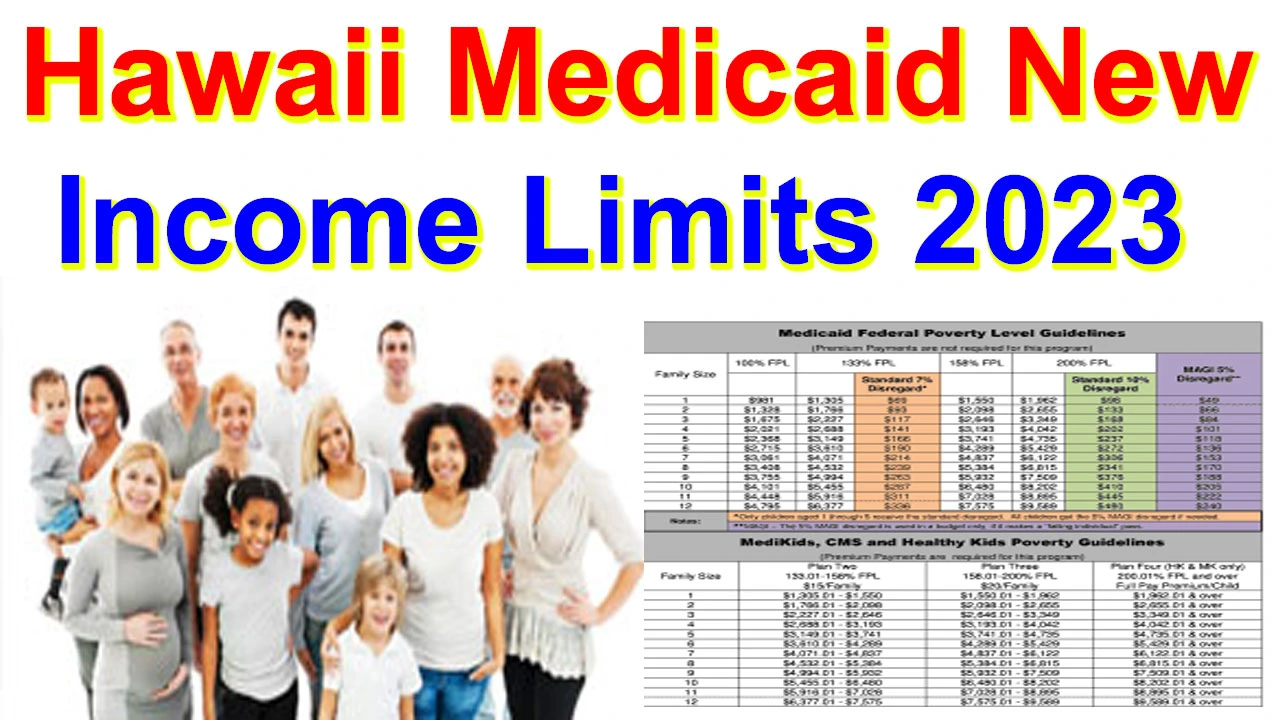 Hawaii Medicaid Income Limits 2024
