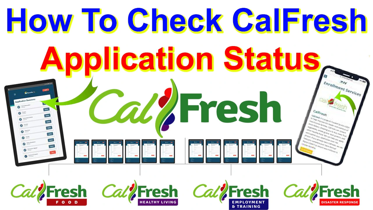 CalFresh Status Update: How To Check CalFresh Application Status