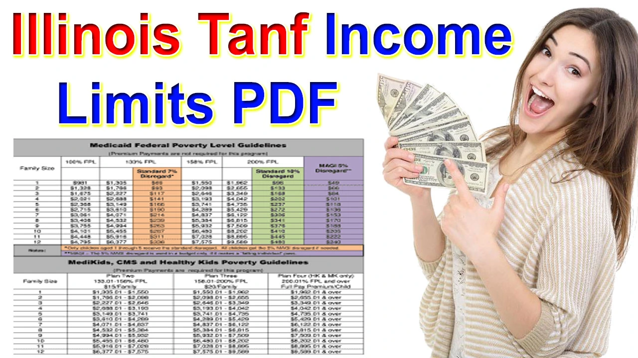 Illinois TANF Income Limits 2024 Eligibility