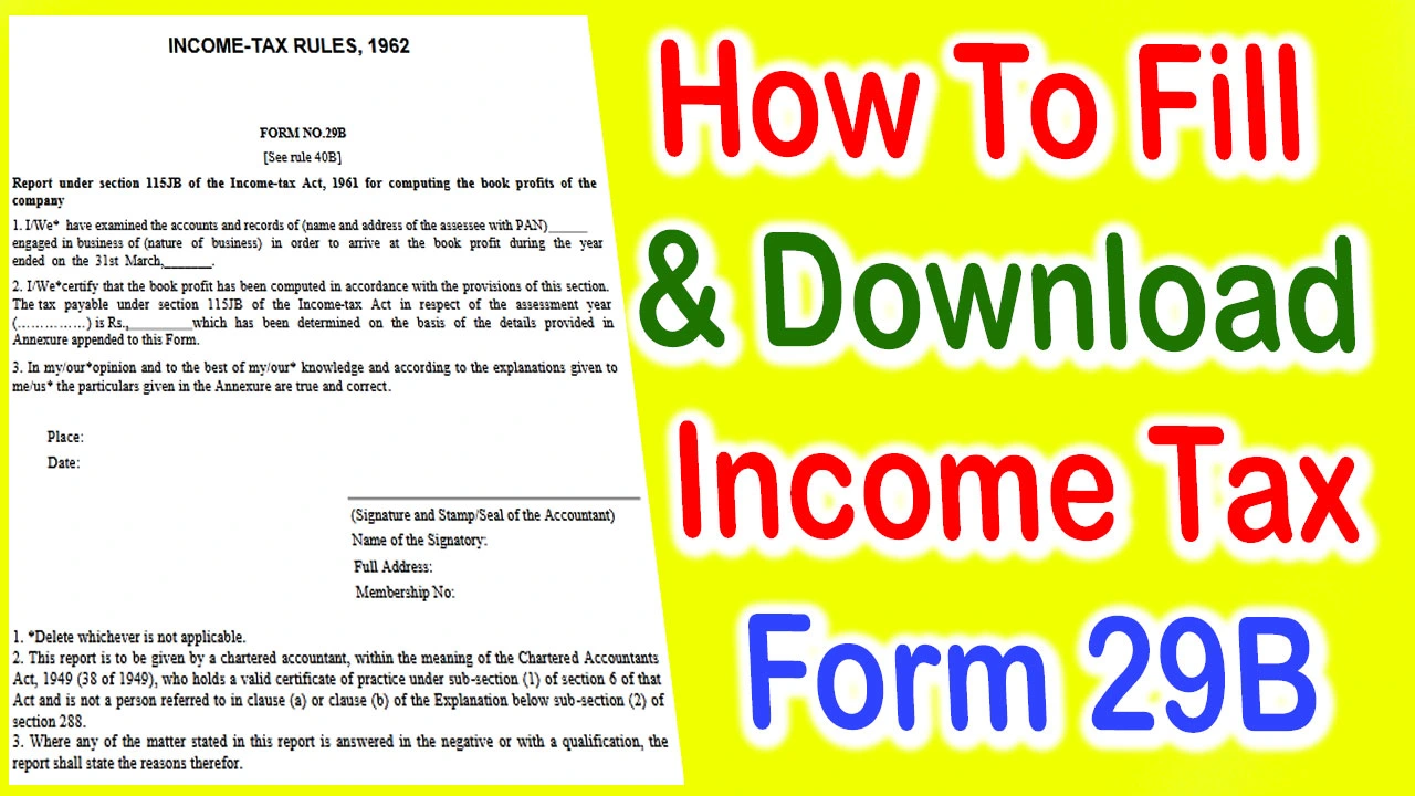 Income Tax Form 29b PDF Download