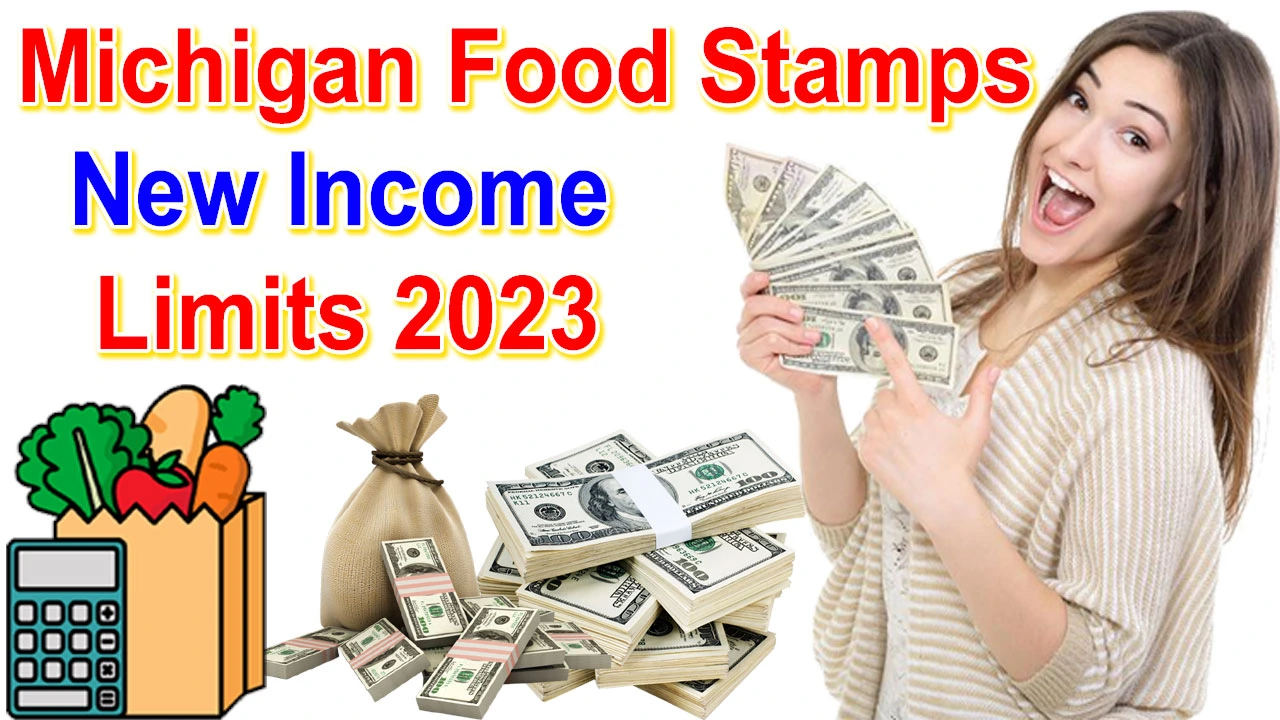 Michigan Food Stamps Limits 2023