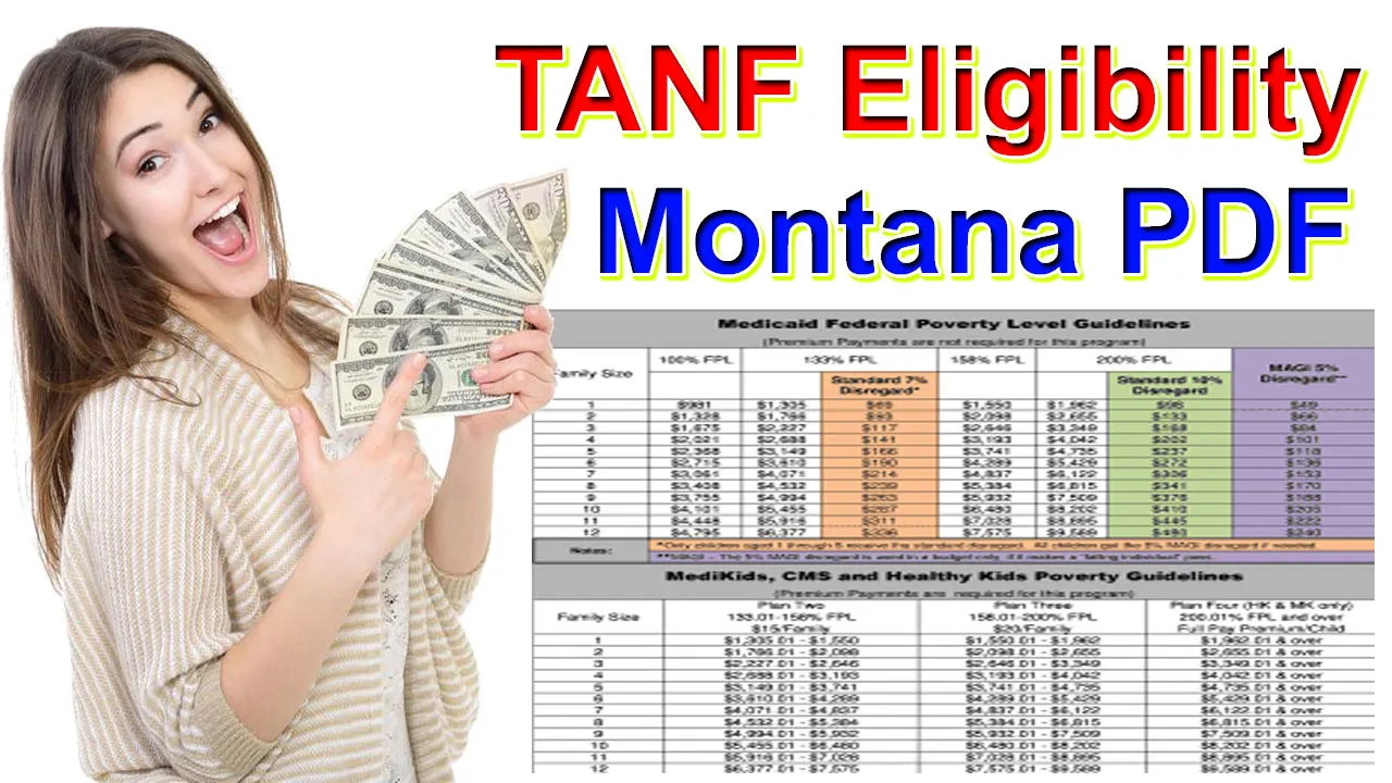 Montana TANF Income Limits And Eligibility Requirements 2024