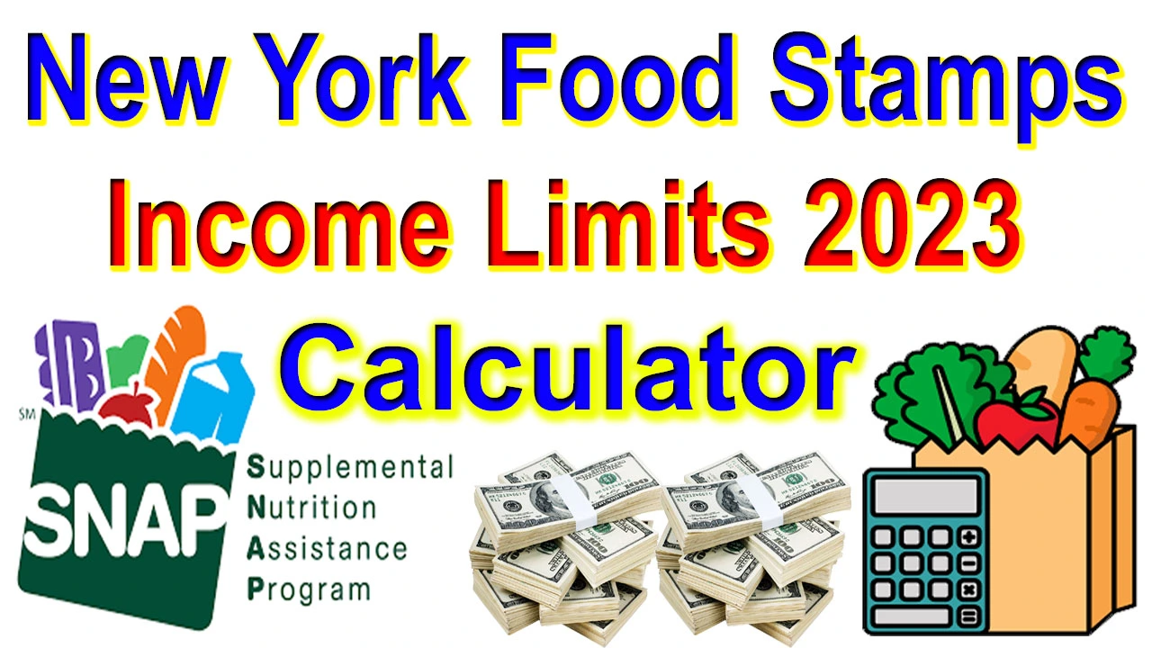 New York Food Stamps Income Limits 2024