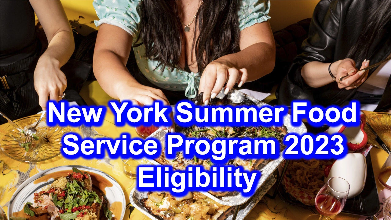 New York Summer Food Service Program 2024 Eligibility