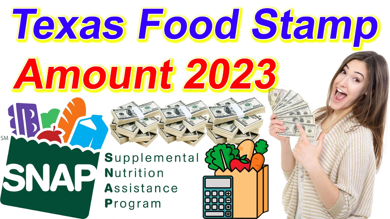 Texas Food Stamp Amount 2024
