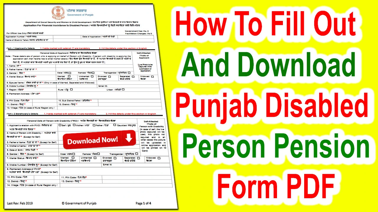 Disabled Person Pension Punjab Form PDF Download